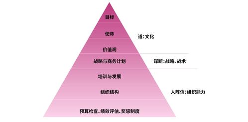 馬云談企業(yè)管理 創(chuàng)新、文化與人才是關(guān)鍵